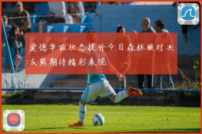 爱德华兹状态提升今日森林狼对决灰熊期待精彩表现