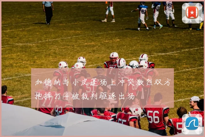 加德纳与小皮蓬场上冲突激烈双方抱摔打斗被裁判驱逐出场