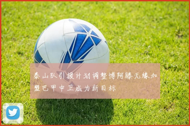 泰山队引援计划调整博阿滕无缘加盟巴甲中卫成为新目标